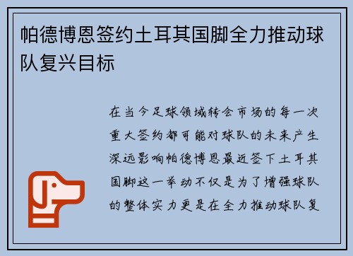 帕德博恩签约土耳其国脚全力推动球队复兴目标
