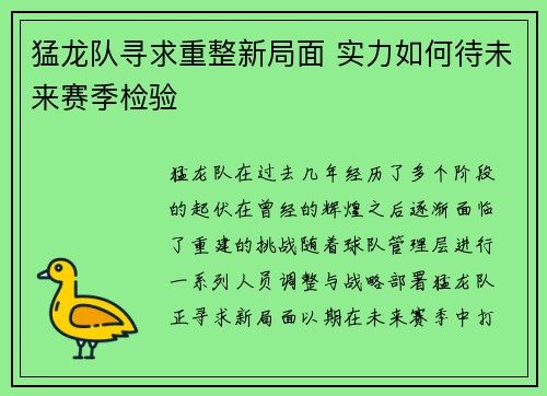猛龙队寻求重整新局面 实力如何待未来赛季检验