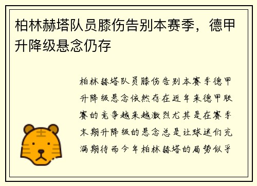 柏林赫塔队员膝伤告别本赛季，德甲升降级悬念仍存