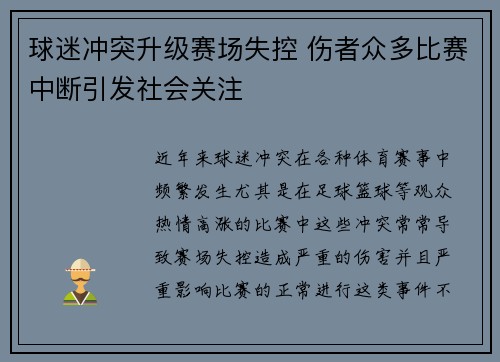 球迷冲突升级赛场失控 伤者众多比赛中断引发社会关注