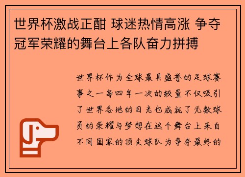 世界杯激战正酣 球迷热情高涨 争夺冠军荣耀的舞台上各队奋力拼搏